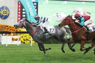 Fifty Fifty (NZ) continues strong form with a victory in the Listed Chinese Club Challenge Cup at Sha Tin. Photo: HKJC